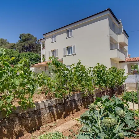 Apartmani Dorita *
