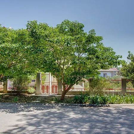 Dorita * Мали-Лошинь