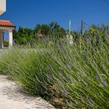 Dorita Апартаменты Мали-Лошинь