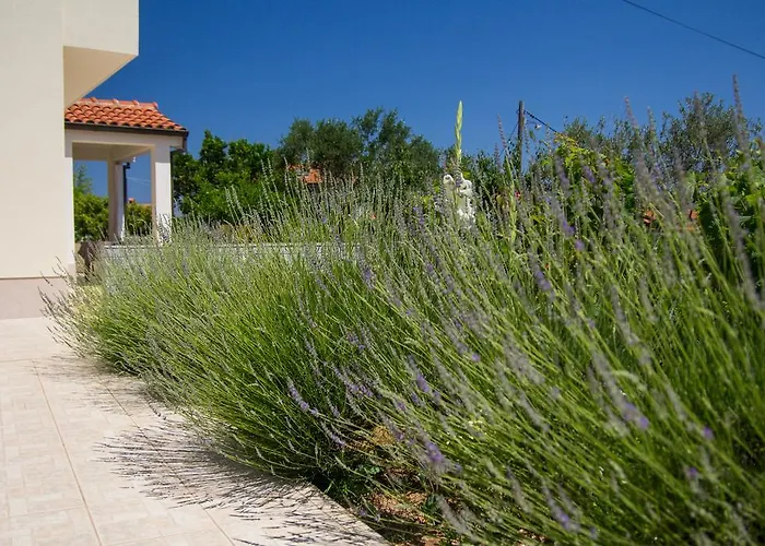 Dorita Апартаменты Мали-Лошинь